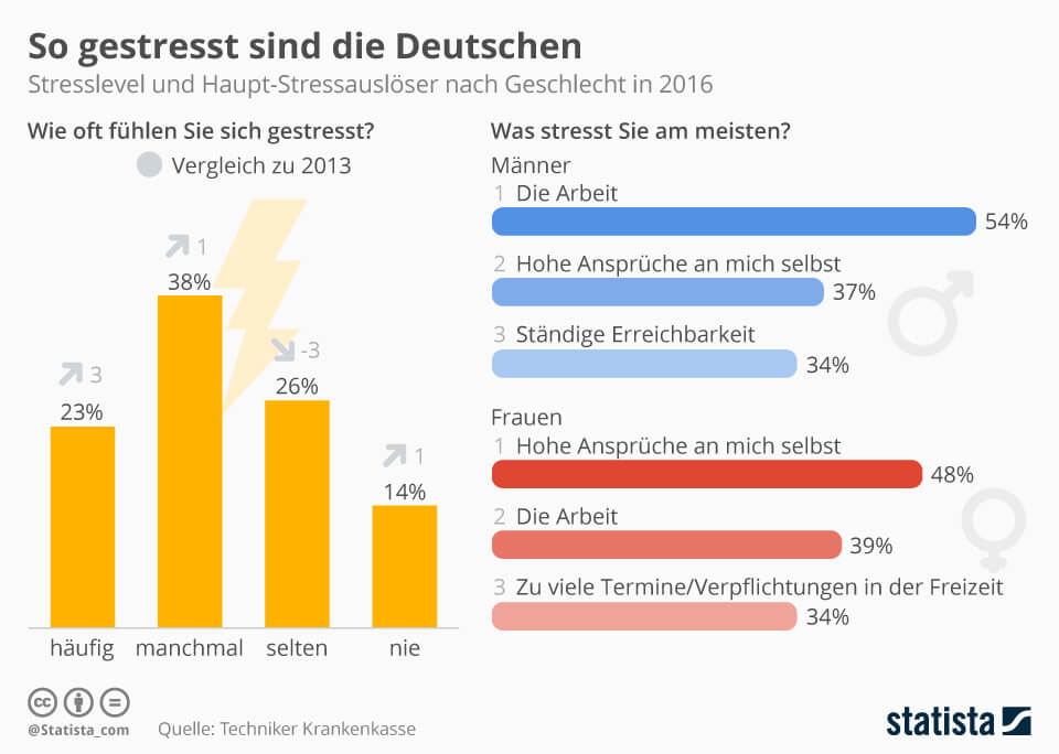 Katharina Ehlers Statista Stress